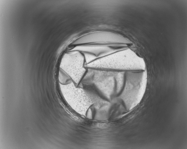 X0000079580341200612301412