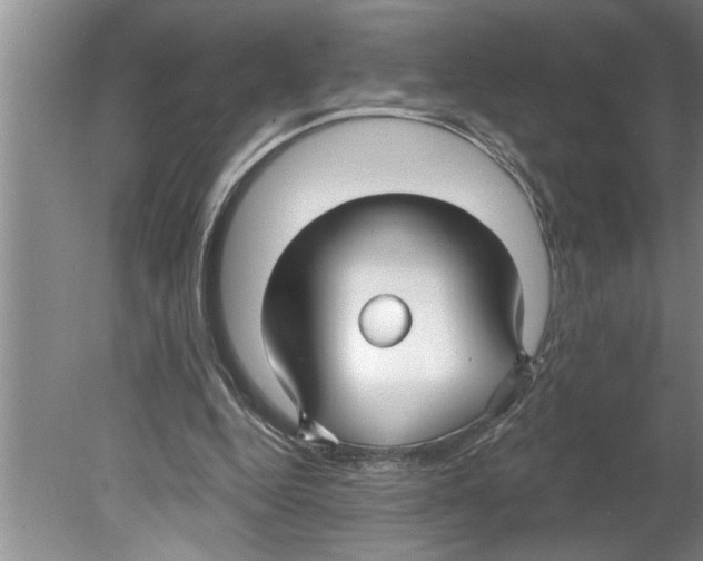 X0000079580344200612301412