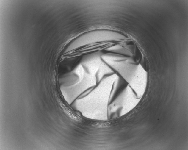 X0000079580345200612301412