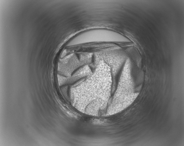 X0000079580346200612301412