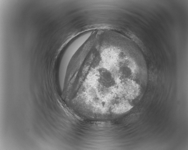 X0000079580347200612301412