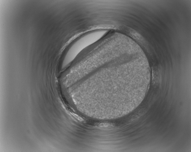 X0000079580348200612301412