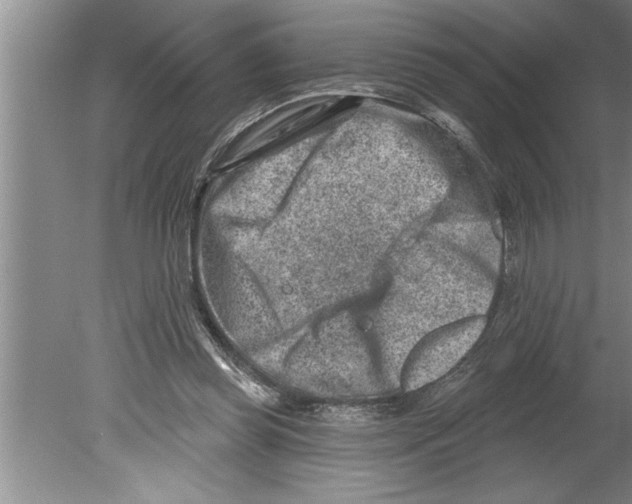 X0000079580349200612301412