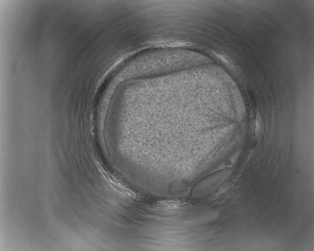 X0000079580351200612301412