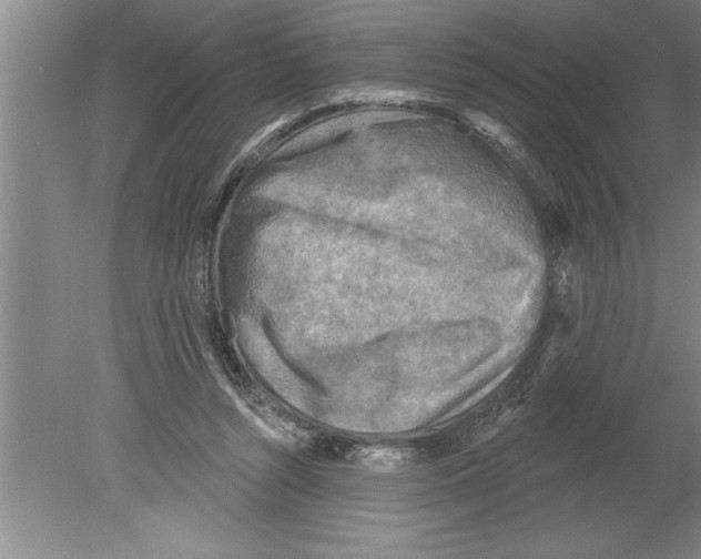 X0000079580352200612301412