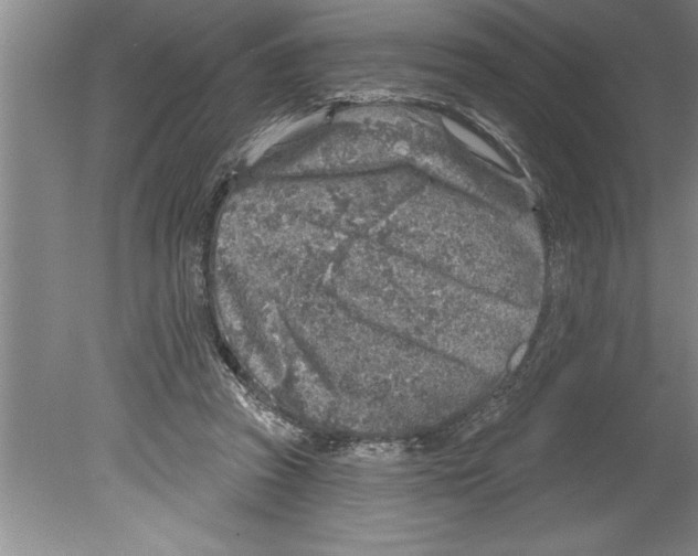 X0000079580353200612301412