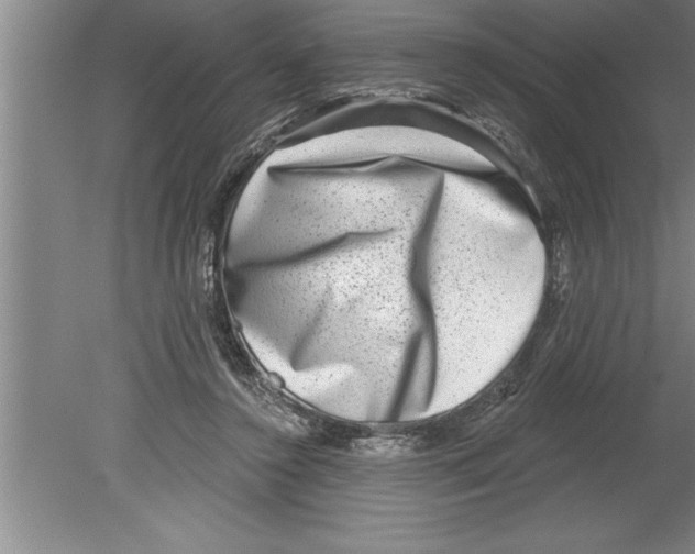 X0000079580356200612301412