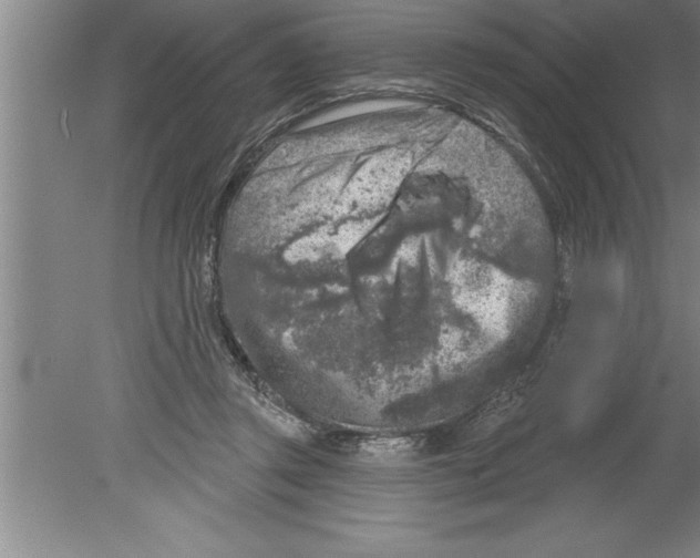 X0000079580357200612301412