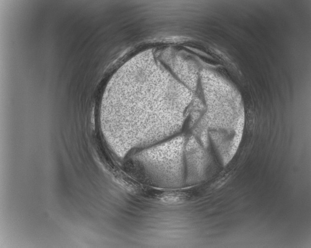 X0000079580358200612301413