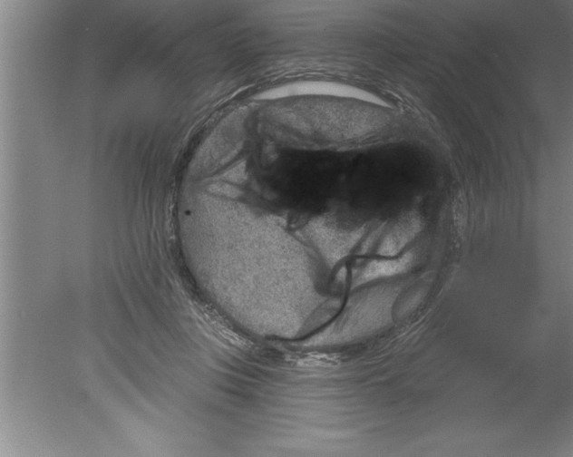 X0000079580359200612301413