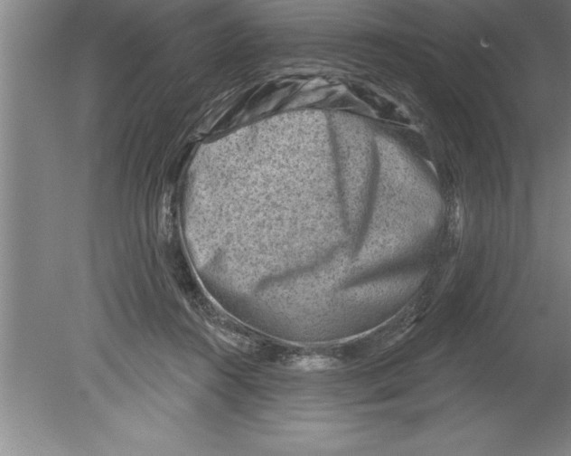 X0000079580360200612301413