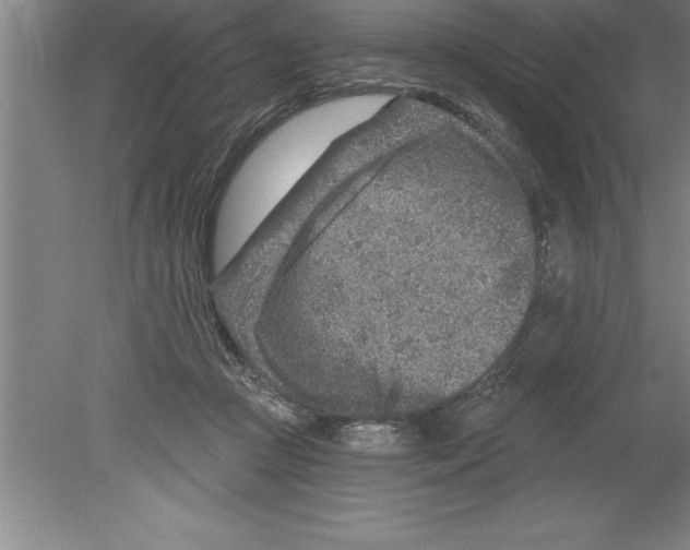 X0000079580361200612301413