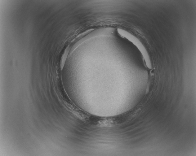 X0000079580362200612301413