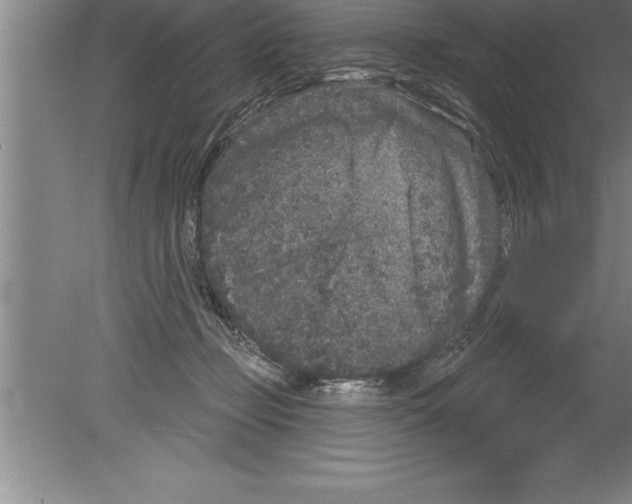 X0000079580365200612301413