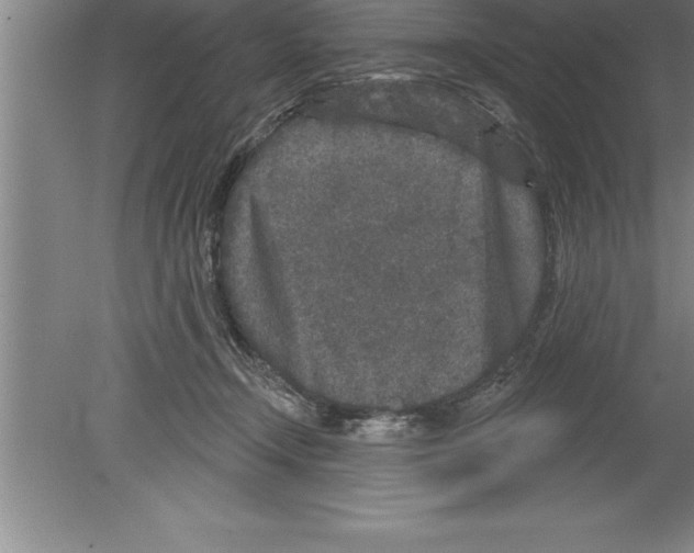 X0000079580366200612301413