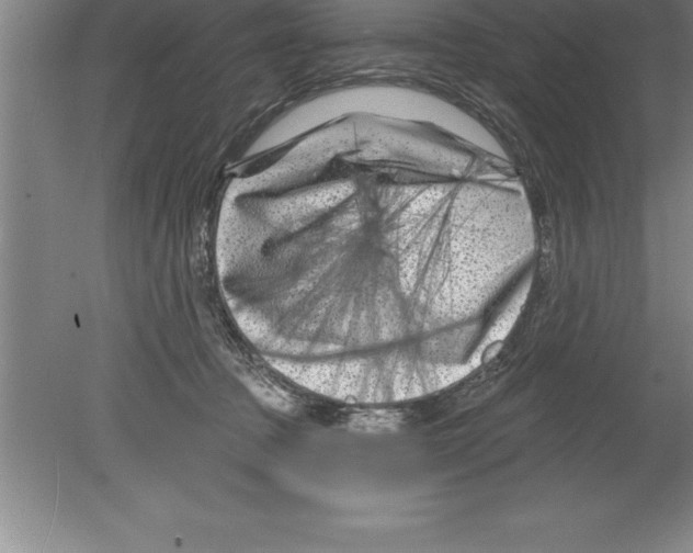 X0000079580369200612301413