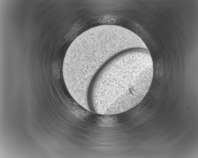 X0000079580370200612301413