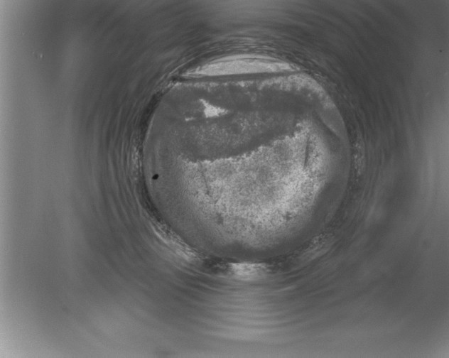 X0000079580371200612301413