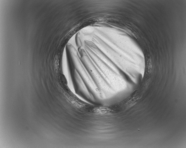 X0000079580372200612301413