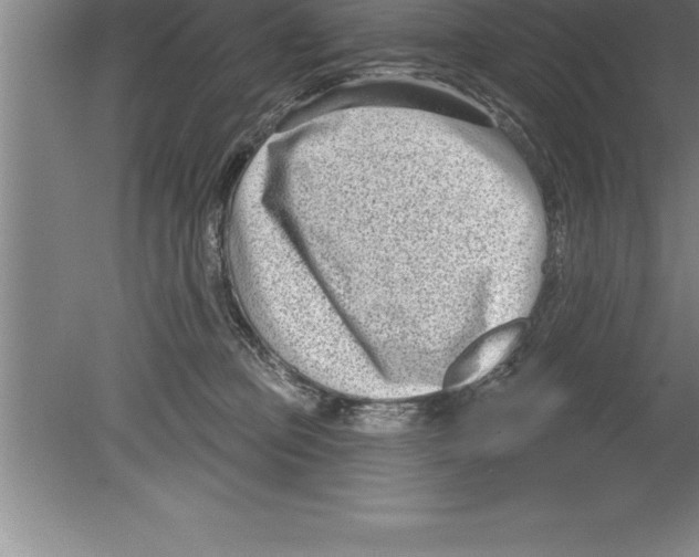 X0000079580373200612301413