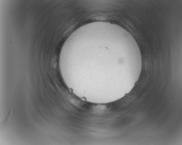 X0000079580374200612301413