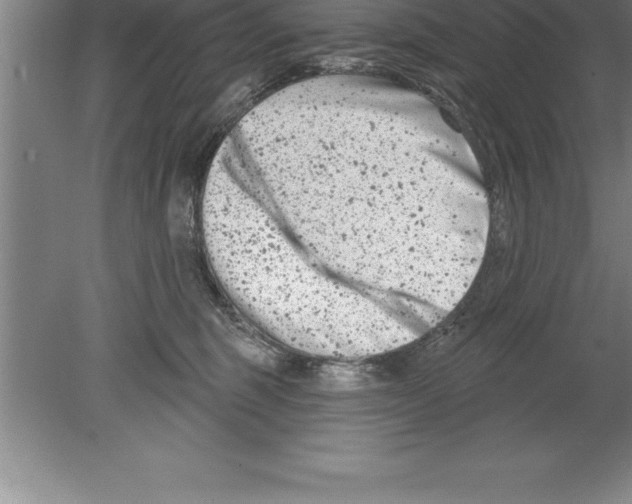 X0000079580375200612301413