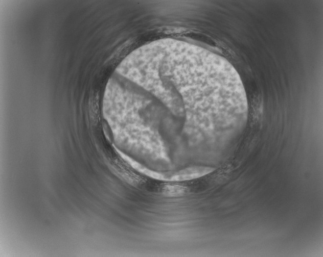 X0000079580376200612301413