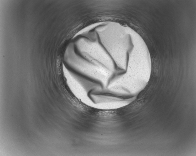 X0000079580378200612301413