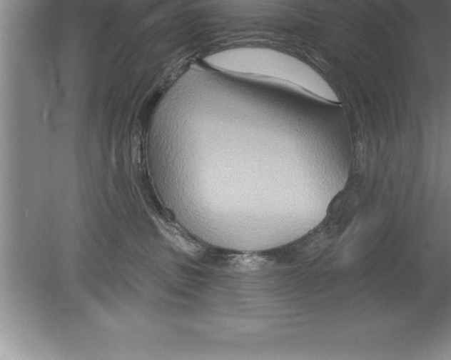 X0000079580379200612301413