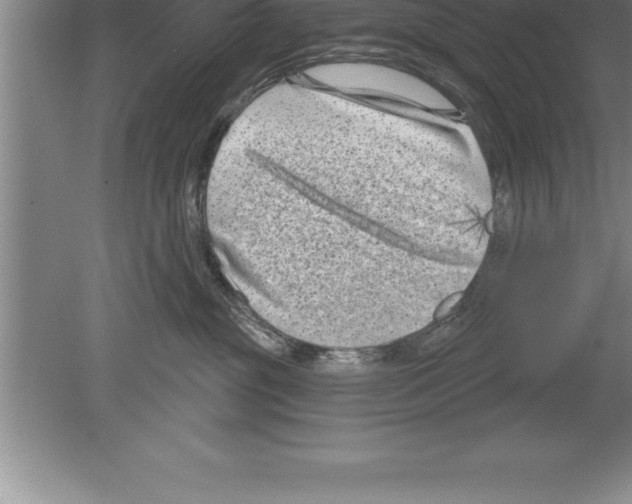 X0000079580381200612301413