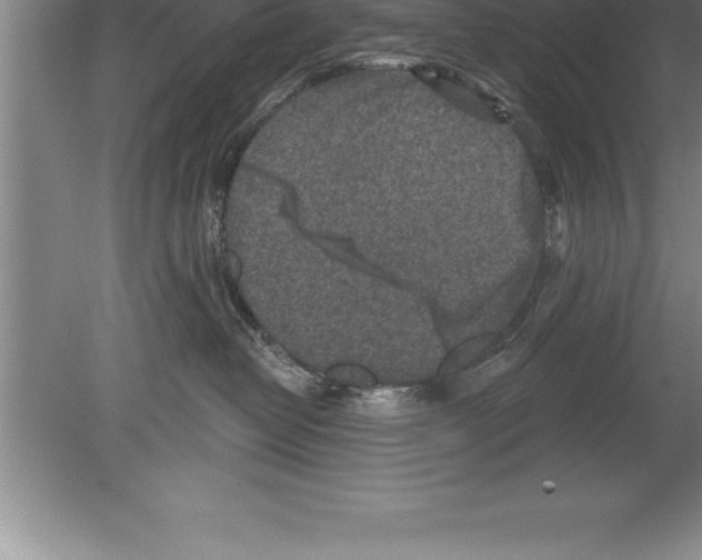 X0000079580382200612301413