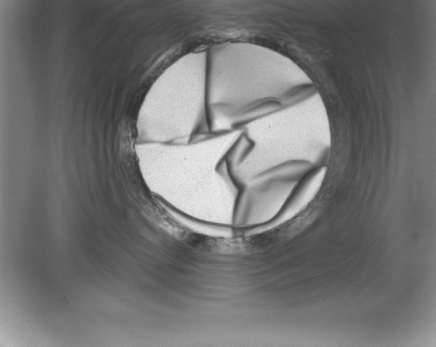 X0000079580384200612301413