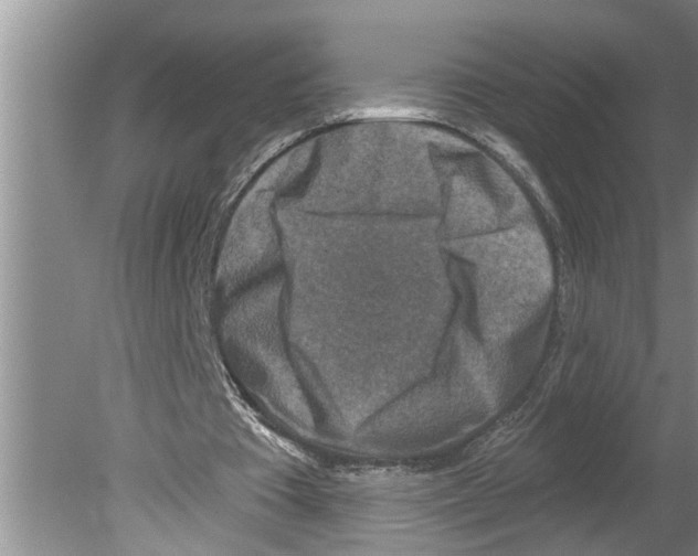 X0000079580385200612301412