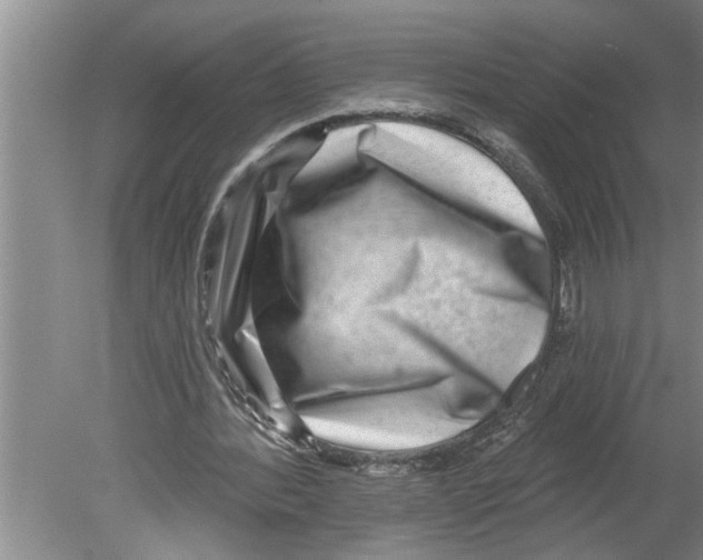 X0000079580388200612301412