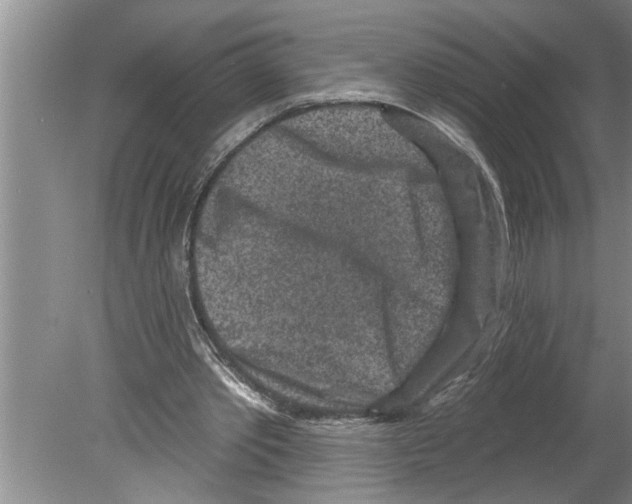 X0000079580389200612301412