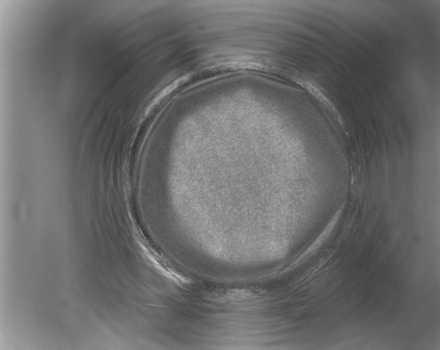 X0000079580390200612301412