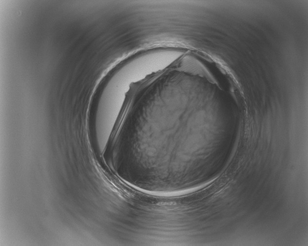 X0000079580391200612301412