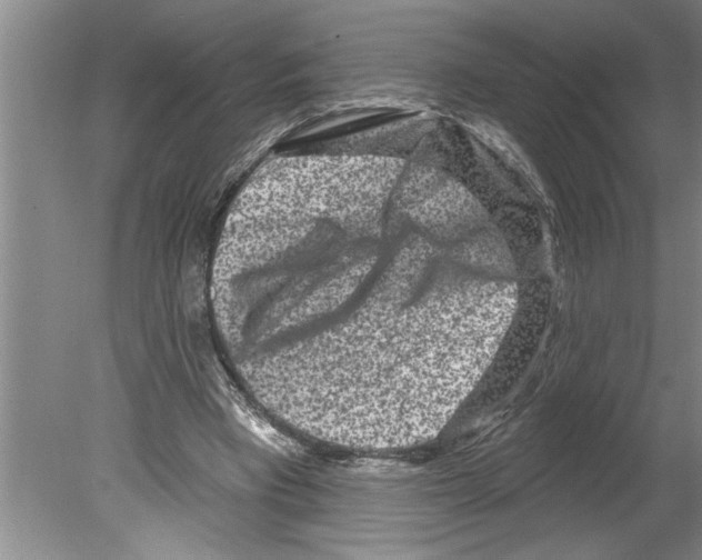 X0000079580393200612301412