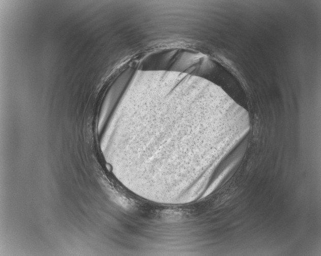 X0000079580394200612301412