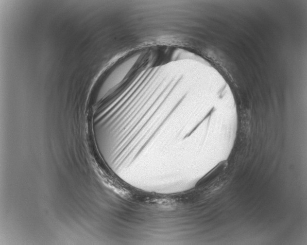 X0000079580395200612301412