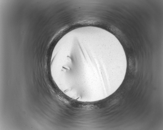 X0000079580396200612301412