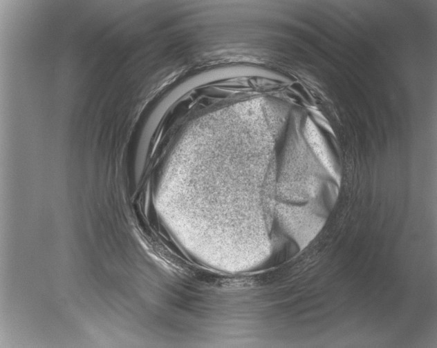 X0000079580398200612301412