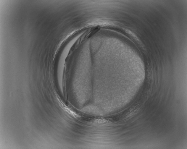 X0000079580399200612301412