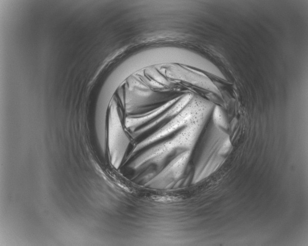 X0000079580400200612301412