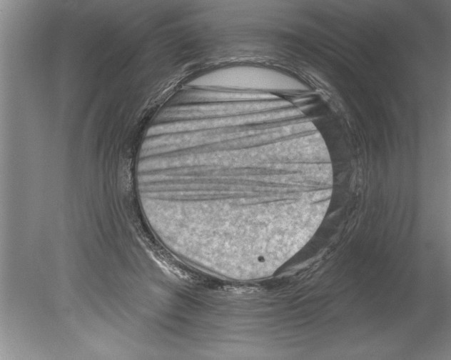 X0000079580401200612301412