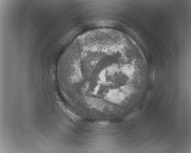 X0000079580402200612301412