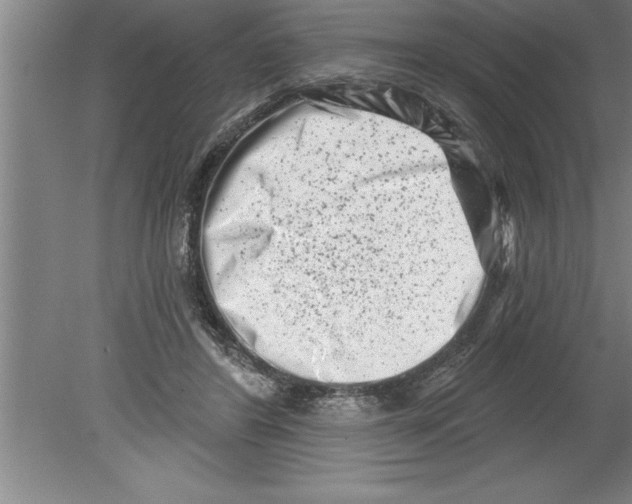 X0000079580404200612301412