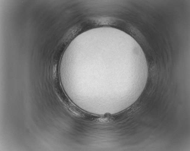 X0000079580406200612301412