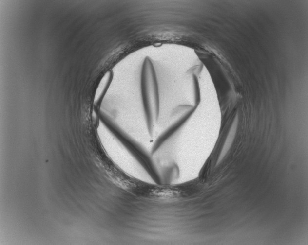 X0000079580407200612301412