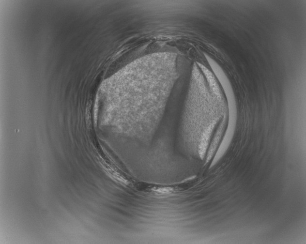 X0000079580409200612301412